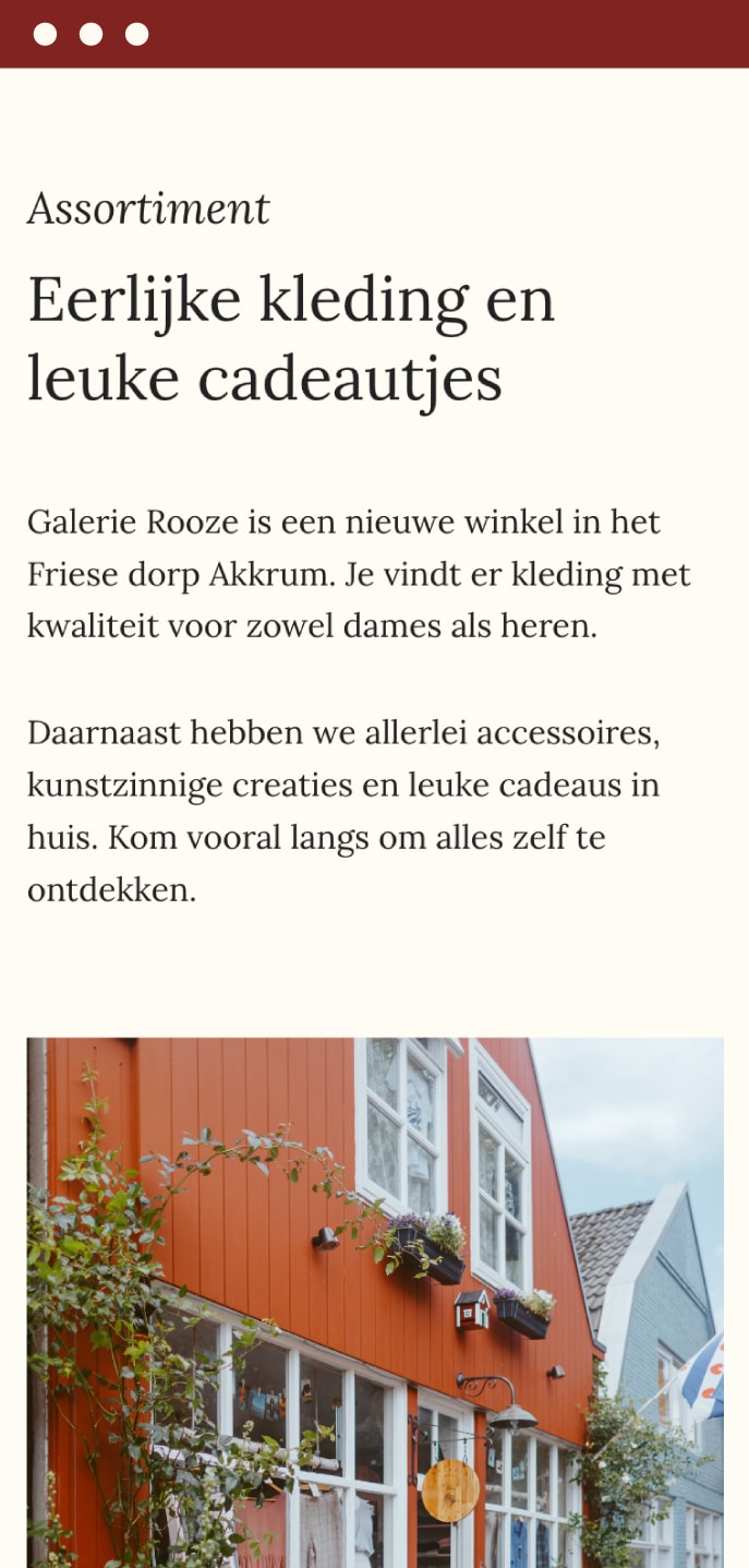 Menno van der Meer - Galerie Rooze (Flocker)